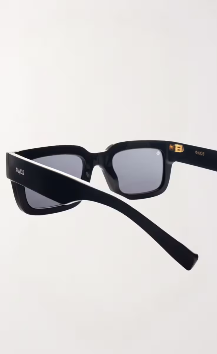 SUNGLASSES EREVOS BLACK CRETE WITH SHADE GREY LENSES