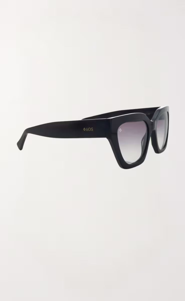 SUNGLASSES SKYROS IN EREVOS BLACK WITH SUNSET GREY LENSES